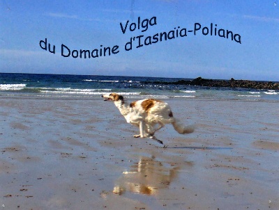 du Domaine d'Iasnaïa-Poliana - BONNE VACANCES