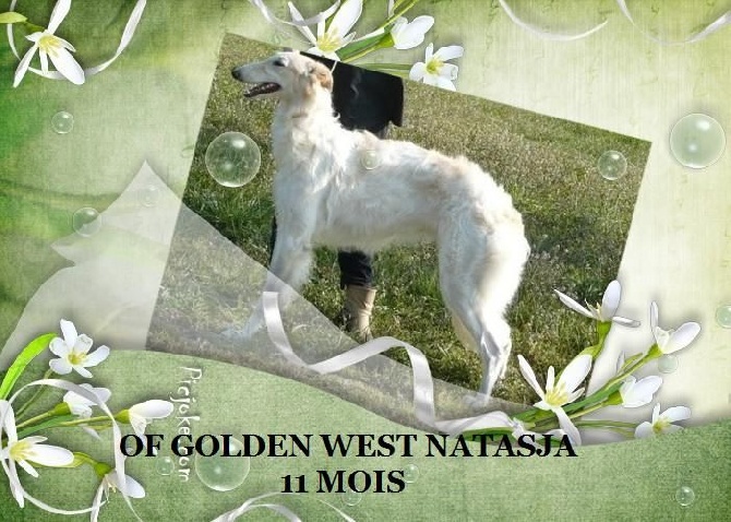 du Domaine d'Iasnaïa-Poliana - Of Golden West Natasja