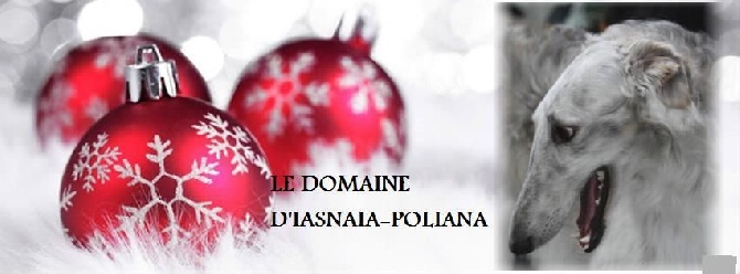 du Domaine d'Iasnaïa-Poliana - joyeuses fêtes