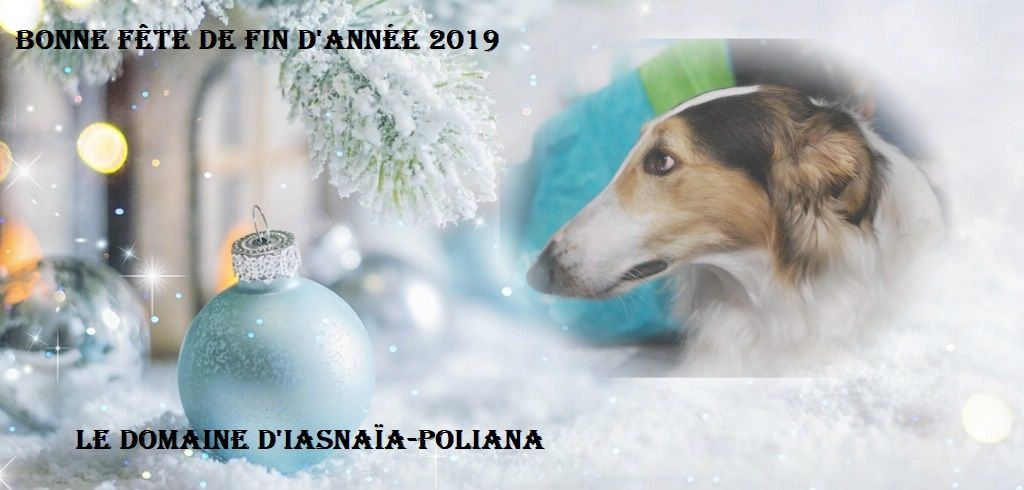 du Domaine d'Iasnaïa-Poliana - Joyeux Noël !