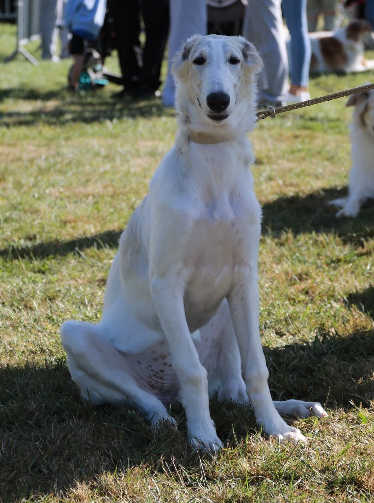 Vixen rosenovna du Domaine d'Iasnaïa-Poliana