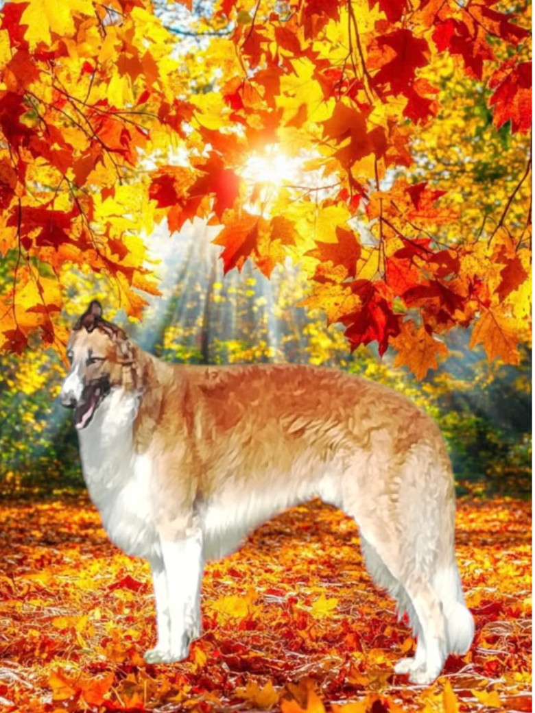 Usko legends and the fall du Domaine d'Iasnaïa-Poliana