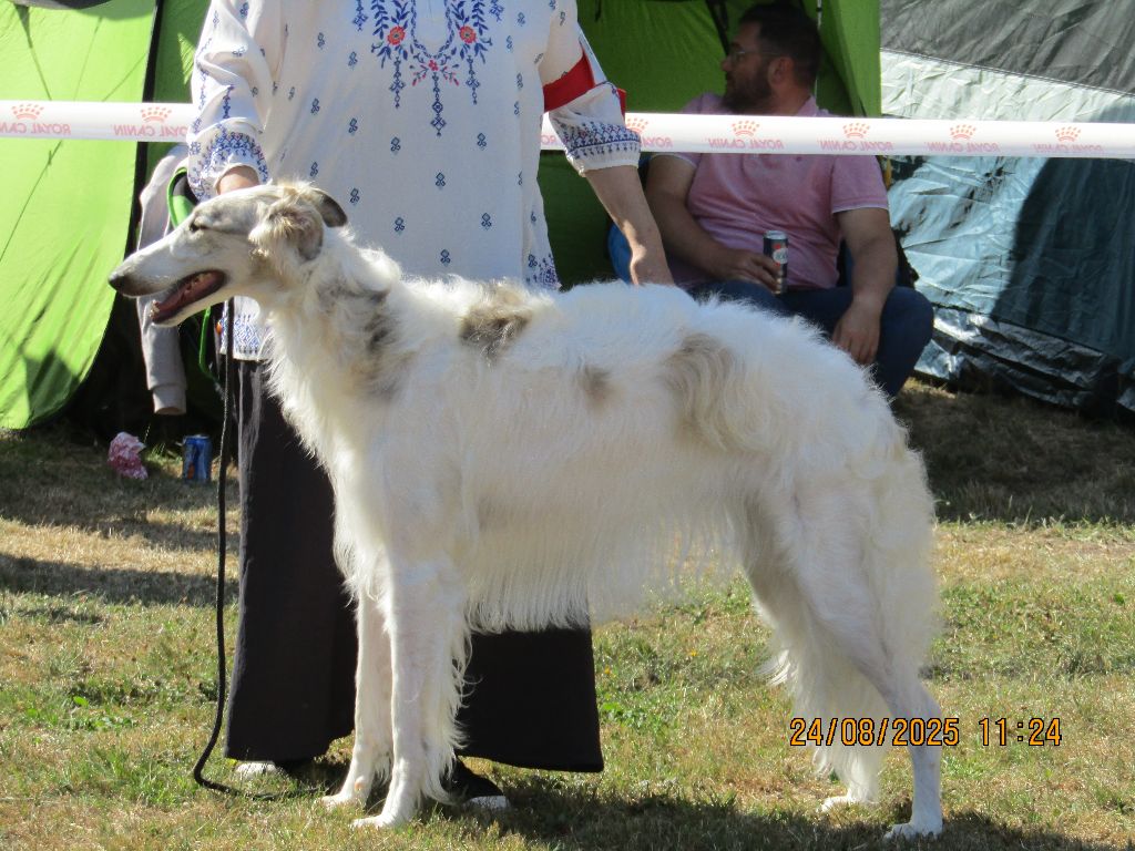 Vixen rosenovna du Domaine d'Iasnaïa-Poliana