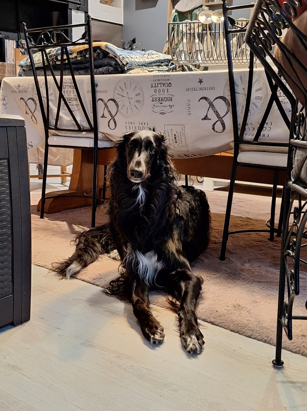 du Domaine d'Iasnaïa-Poliana - 18 mois