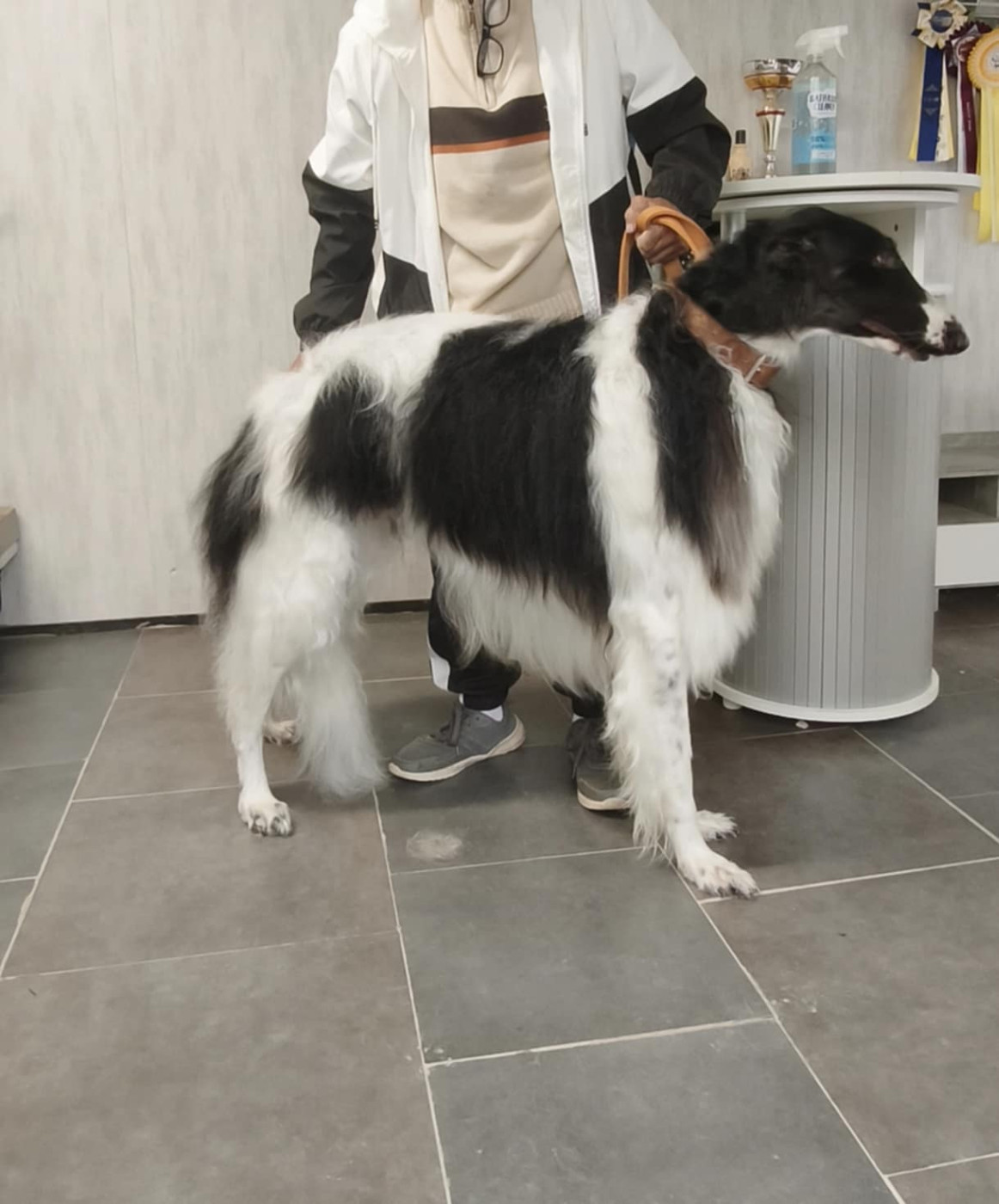 du Domaine d'Iasnaïa-Poliana - VADIM " VAVOUSSIA"