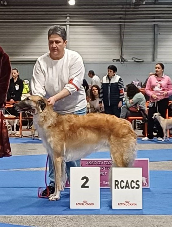 du Domaine d'Iasnaïa-Poliana - Exposition de Nantes 2025