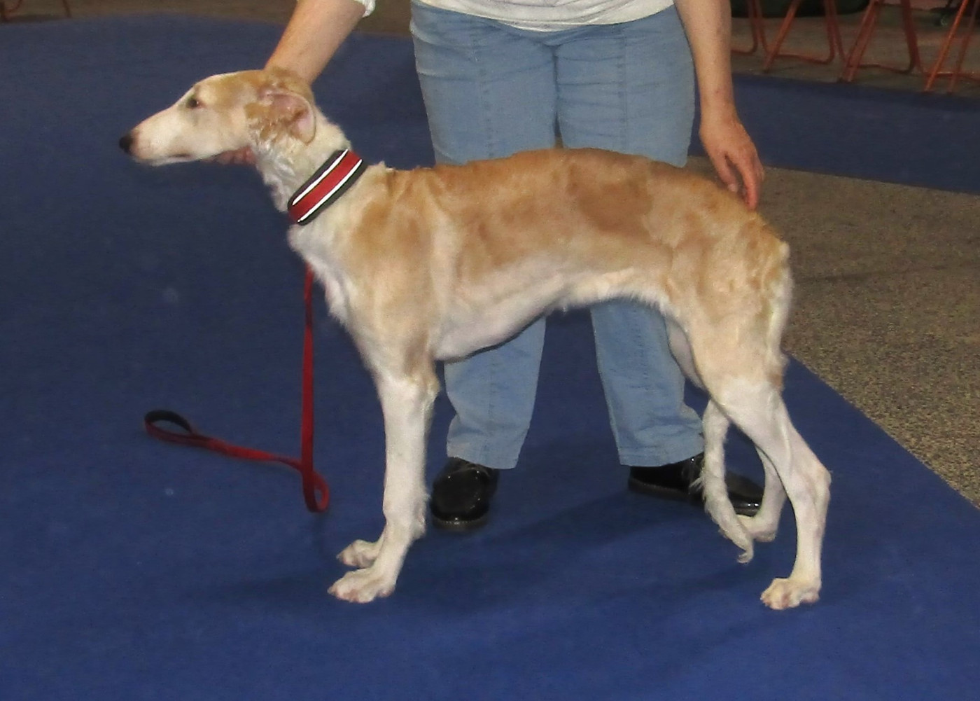 du Domaine d'Iasnaïa-Poliana - Exposition de Nantes 2025