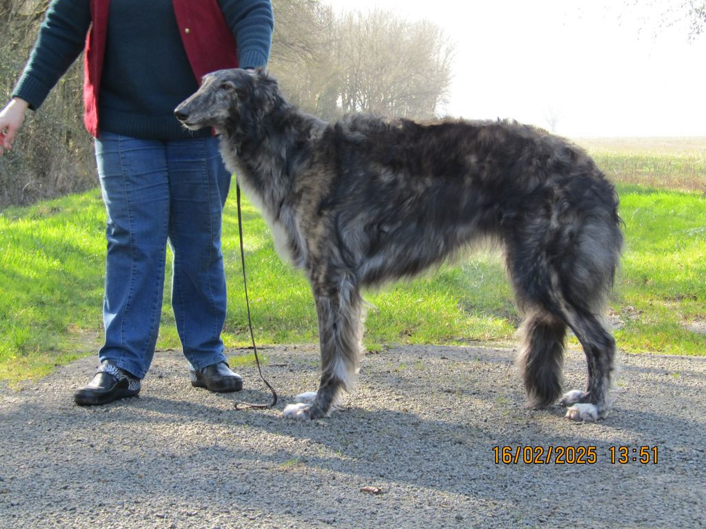 du Domaine d'Iasnaïa-Poliana - Anniversaire !