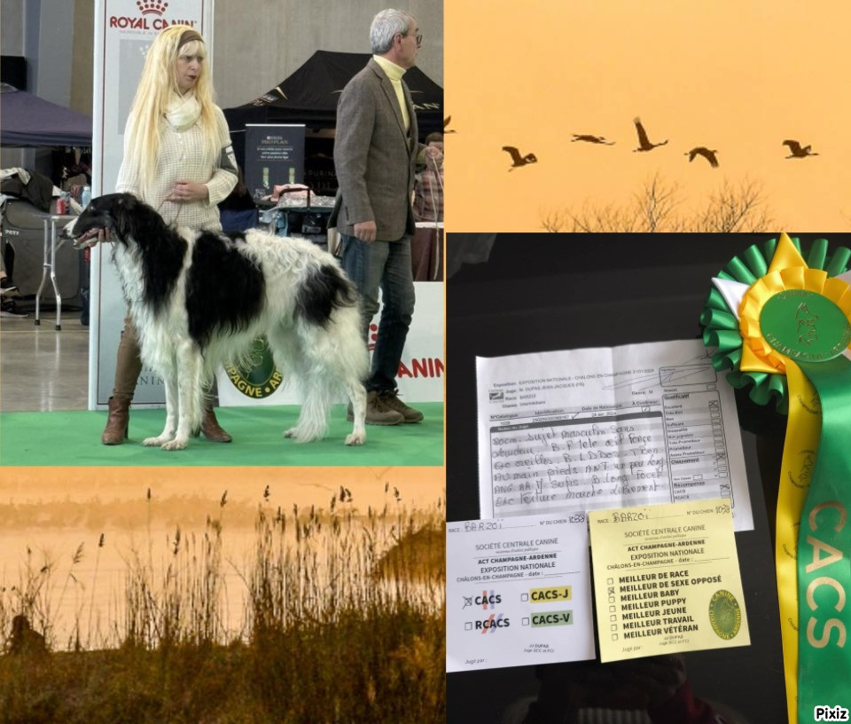 Exposition de Chalons en Champagne