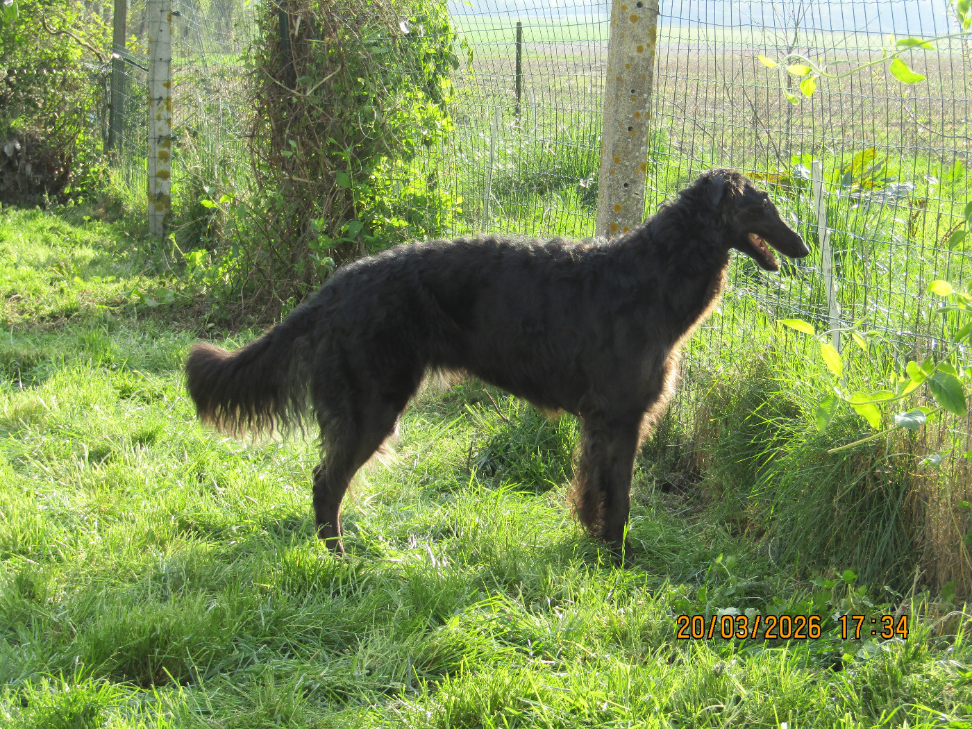 du Domaine d'Iasnaïa-Poliana - Anniversaire !