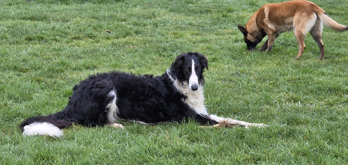 du Domaine d'Iasnaïa-Poliana - des nouvelles !