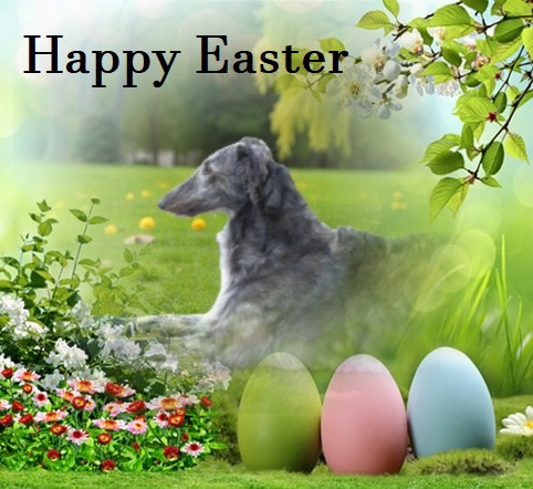 du Domaine d'Iasnaïa-Poliana - PÂQUES 2026