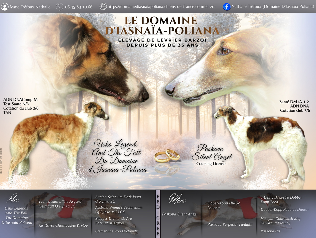 LE DOMAINE D'IASNAÏA-POLIANA