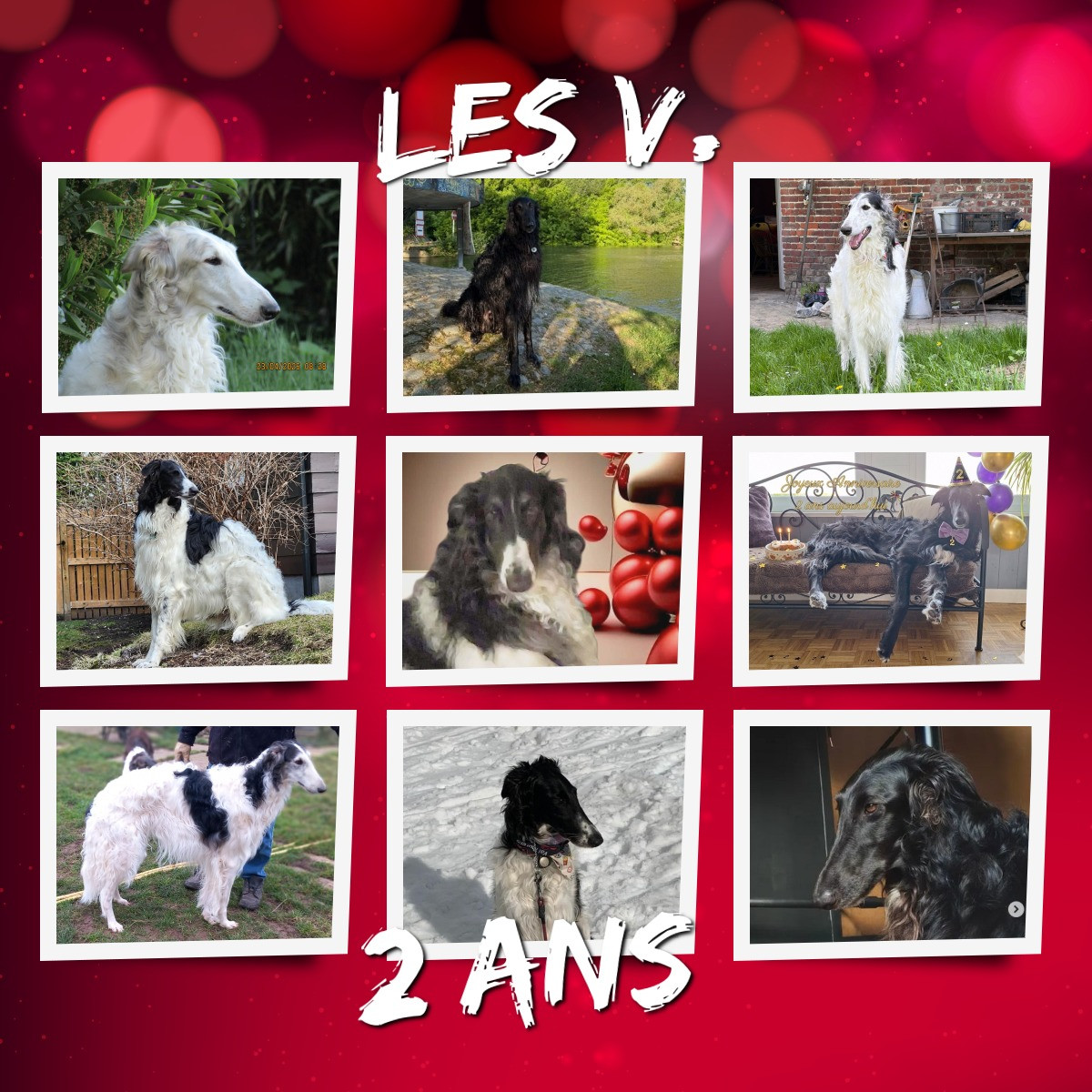 Anniversaire des V. 2 ans