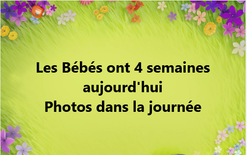Portée 2026 !