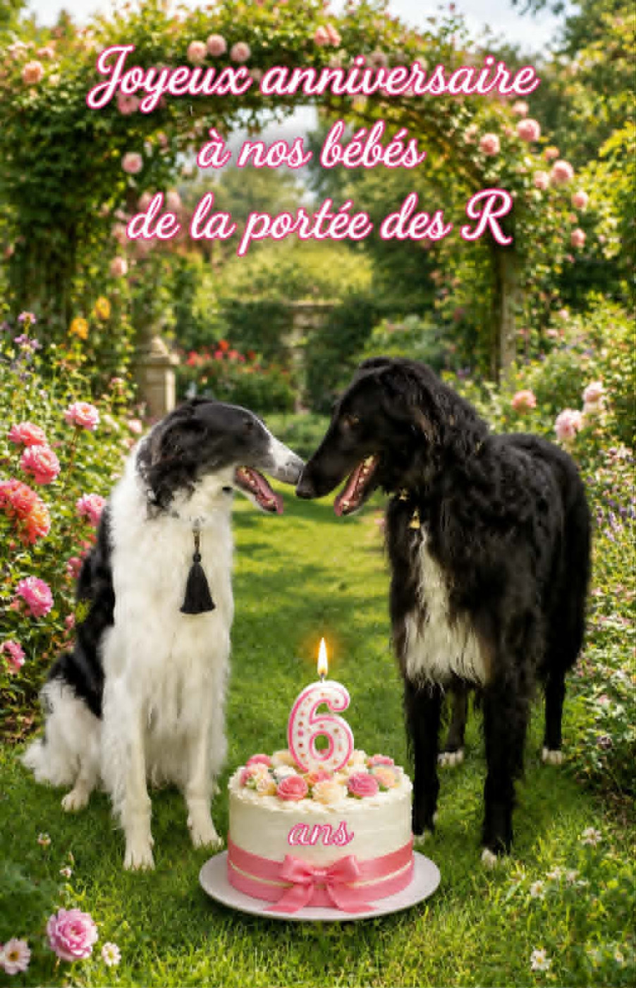 Anniversaire !