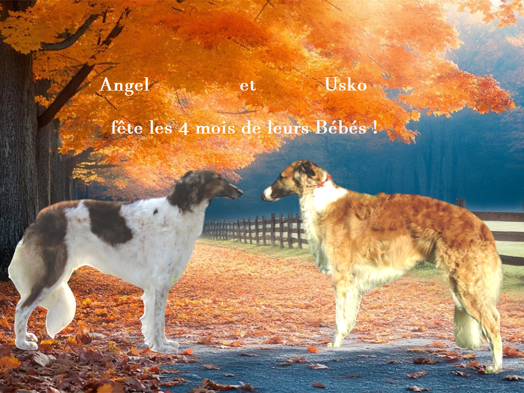 Portée 2026 !