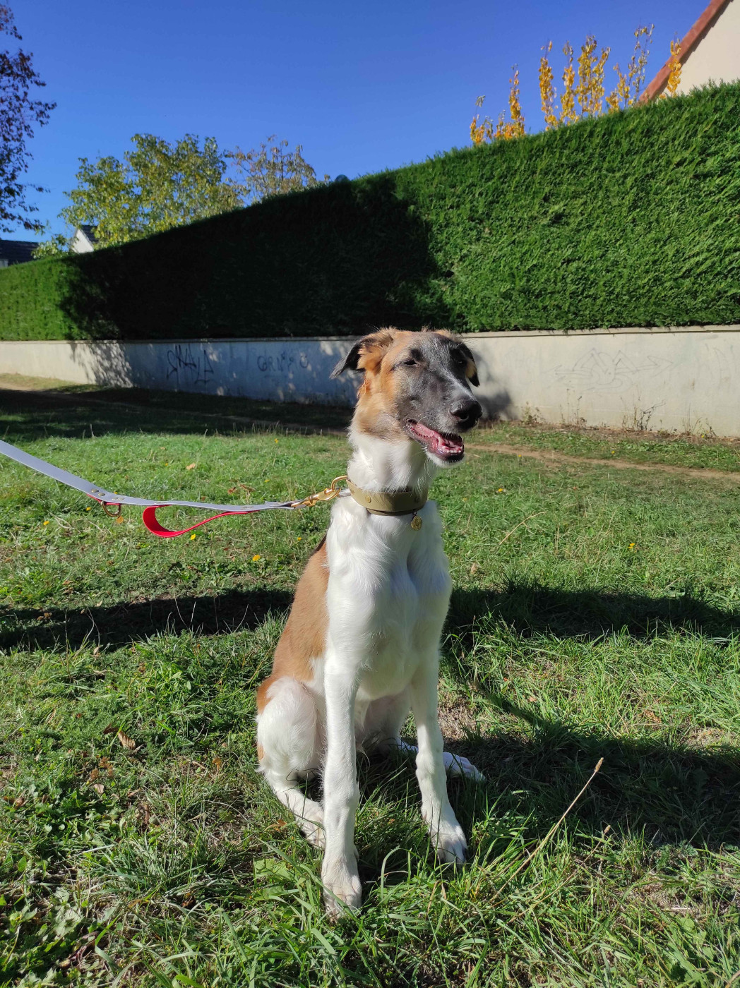 4 mois
