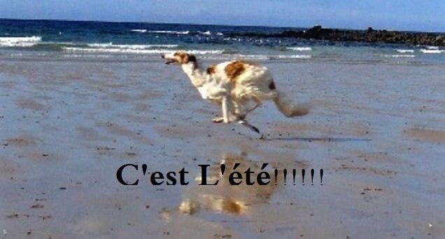 demain c'est l'été ! 