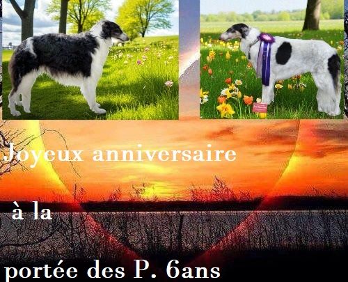 du Domaine d'Iasnaïa-Poliana - ANNIVERSAIRE !